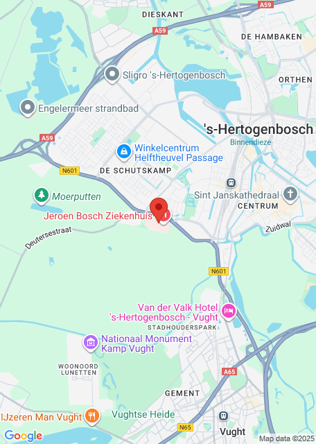 Google maps afbeelding voor Huisartsenpost ’s-Hertogenbosch