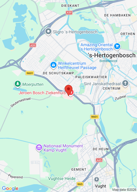 Google maps afbeelding voor Huisartsenpost ’s-Hertogenbosch